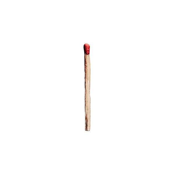 Rammstein Album *Special Edition*, CD | Rammstein-Shop